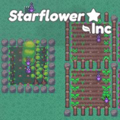 Starflower Inc Starflower Inc