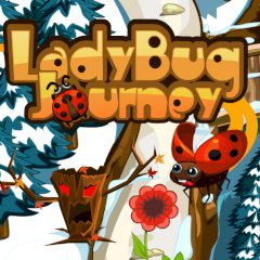 LadyBug Journey