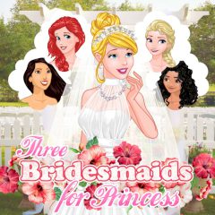 Three Bridesmaids for Cinderella