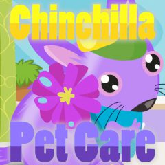 Chinchilla Pet Care