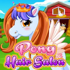 Pony Hair Salon