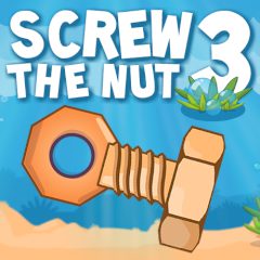 Screw the Nut 3