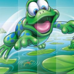 Frog Tiles Puzzle