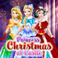 Princess Christmas at Castle