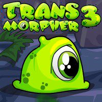 Transmorpher 3