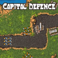 Capital Defence
