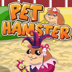 Pet Hamster