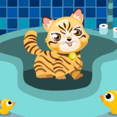 Cat Breeder 2: Cat Bathroom