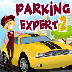 Parking Expert 2
