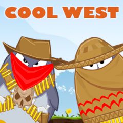 Cool West