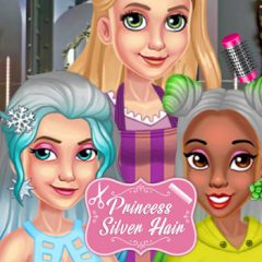 Princess Silver Hair