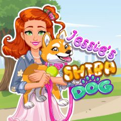 Jessie's Shiba Dog