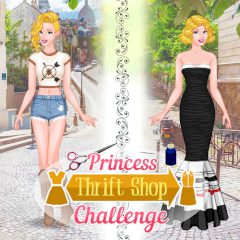Princesses Thrift Shop Challenge