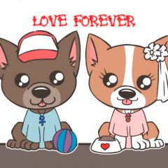 Cute Puppy: Love forever