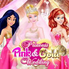Princess Pink & Gold Wedding