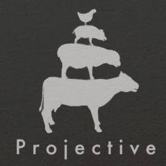 Projective