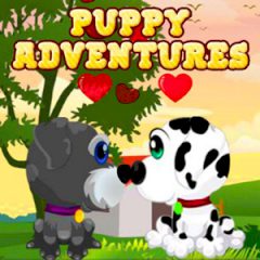 Puppy Adventures