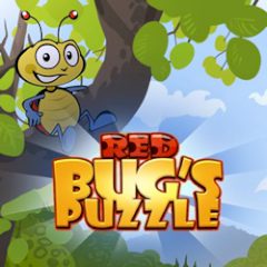 Red Bug's Puzzle