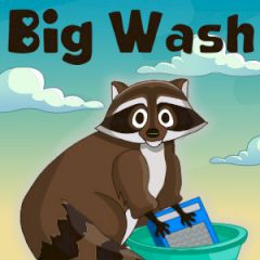 Big Wash