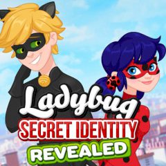 Ladybug Secret Identity Revealed
