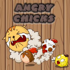 Angry Chicks