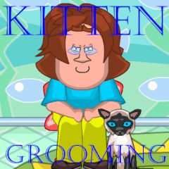 Kitten Grooming